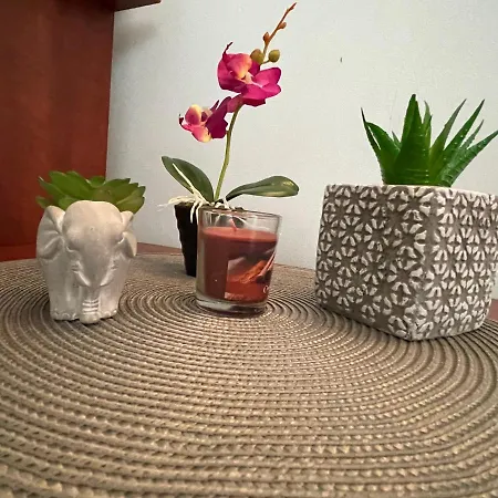 Bar & Guests Ela * Bliznatsi